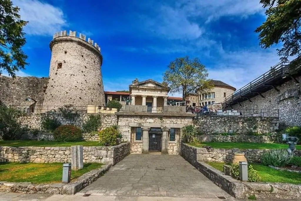 Apartman David-Drazice