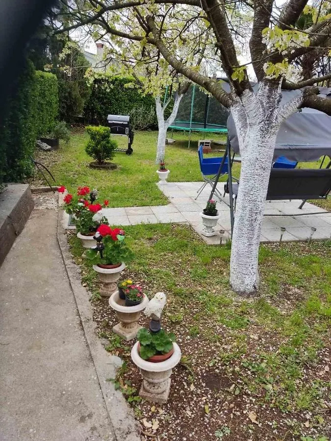 Apartman David-Drazice Drazice